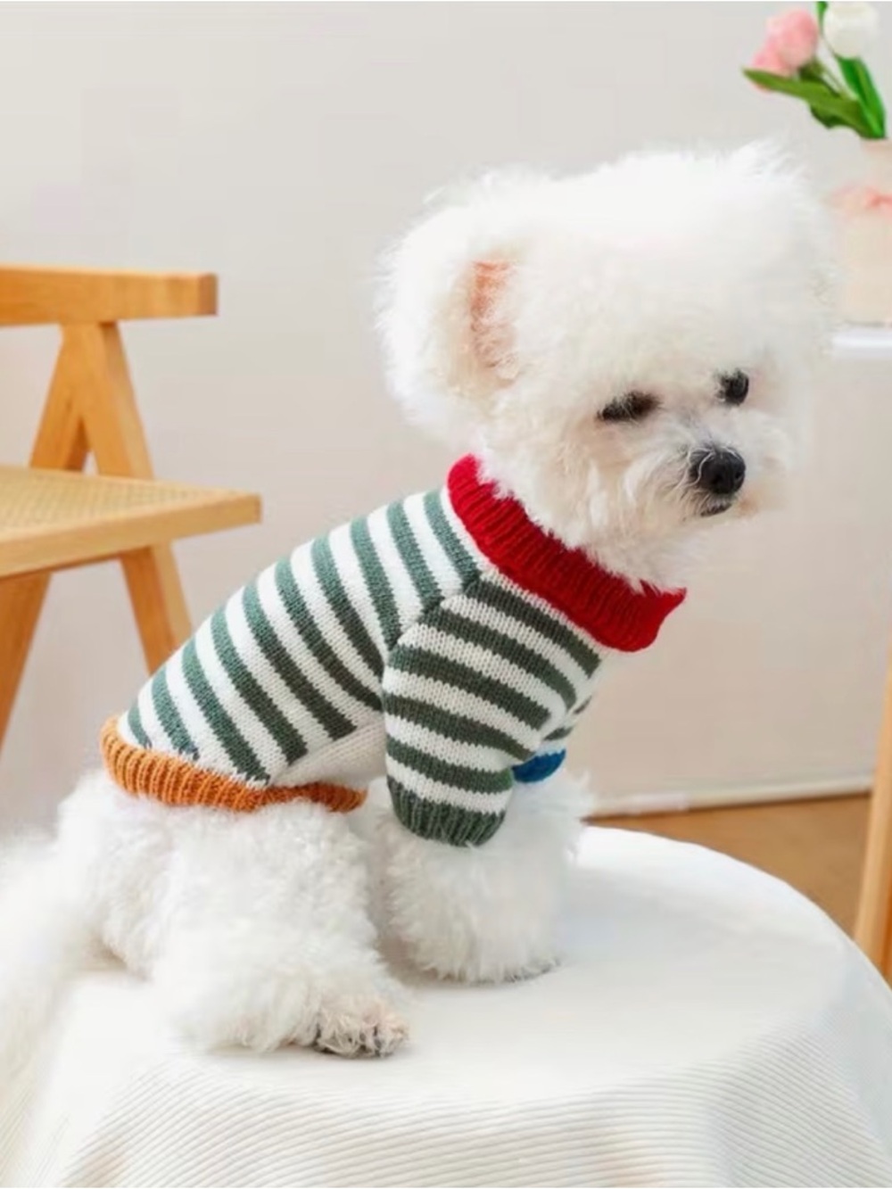 Striped Knit Cat or Dog Pet Sweater with Colorful Trim Sz M - Picture 4 of 9